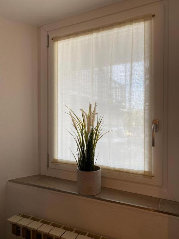 Appartement Casa Mari à Sulzano Extérieur photo